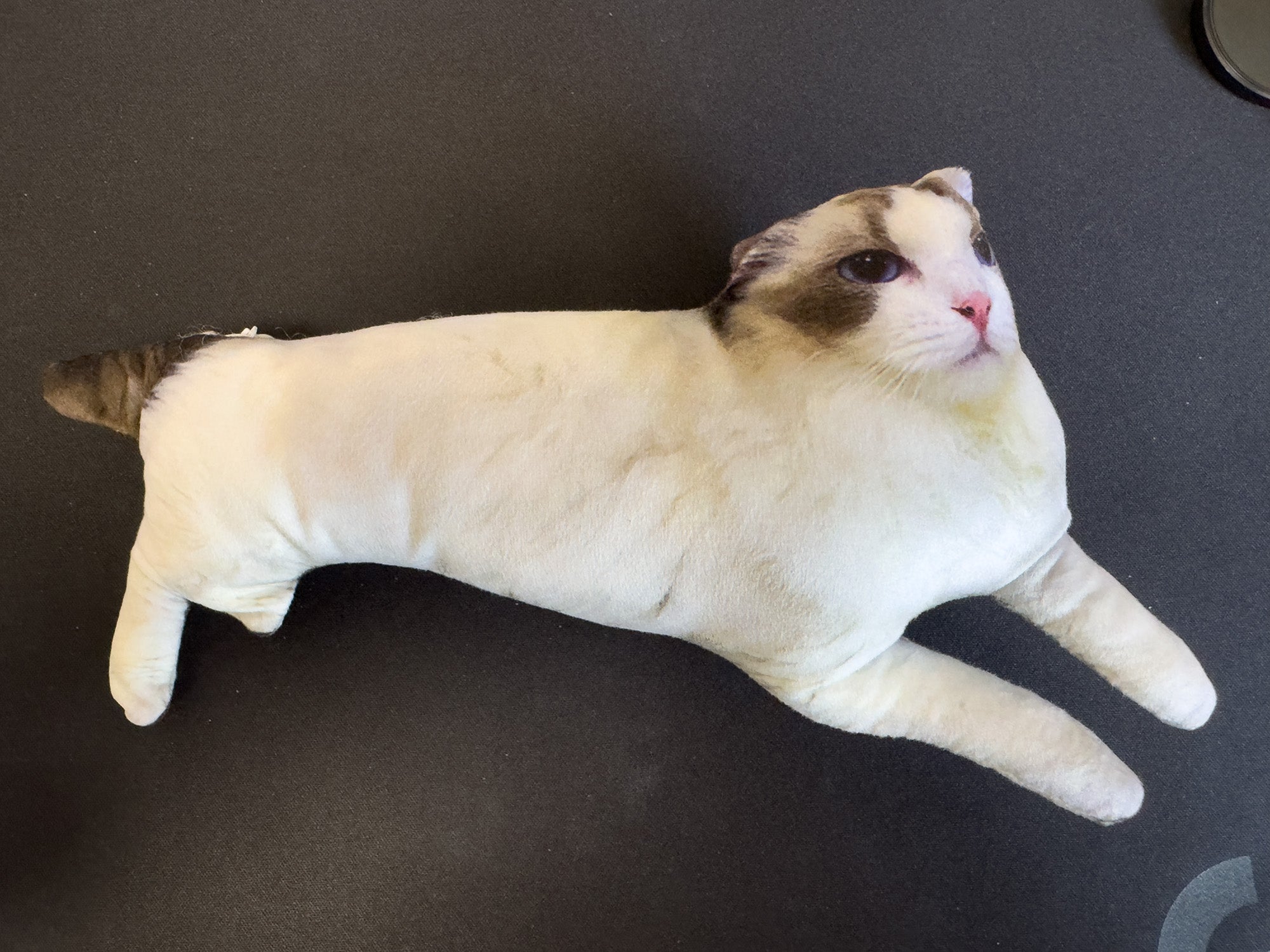 "Ugly Jianguo" Toy
