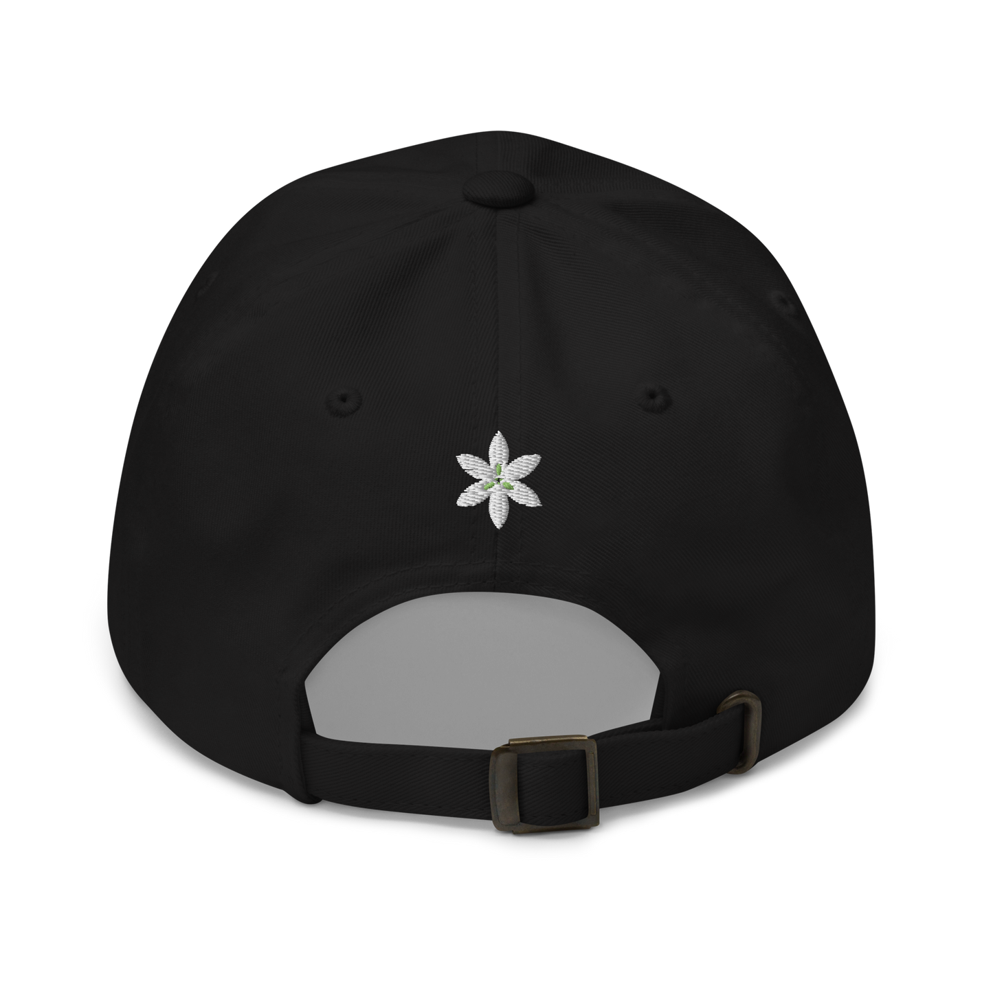 LAPLACE Logo Hat (US)