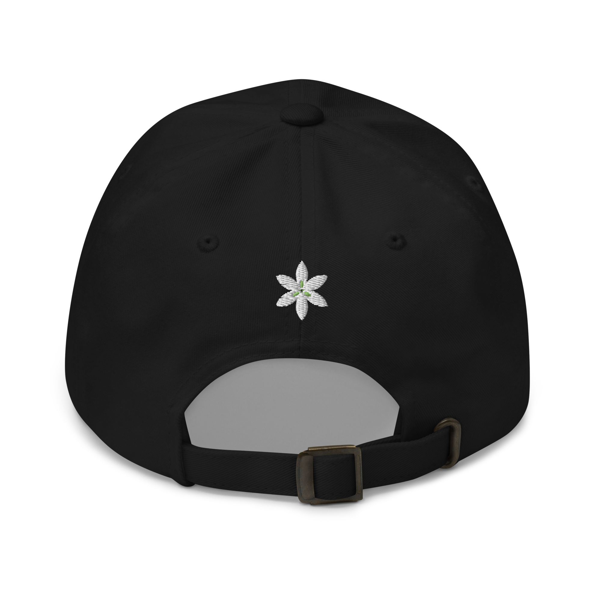 LAPLACE Logo Hat (US)